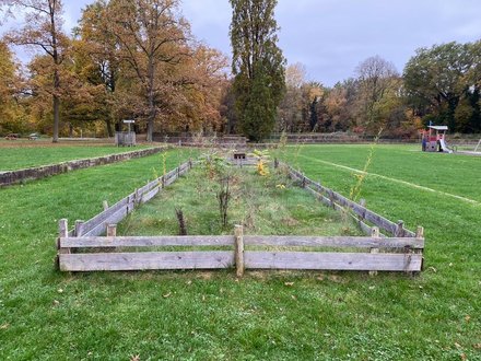 Auf einer Liegewiese im Stadionbad, auf der auch historische Terrassenstufen erkennbar sind, wachsen in eine mit einem niedrigen Holzzaun abgetrennten, etwa 2m mal 10m großen Fläche unregelmäßig verteilt verschiedene Jungbäume.