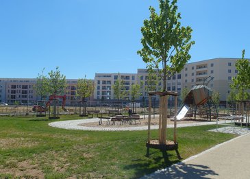 Grünanlage mit Spielplatz, sehr neu angelegt, dahinter Bauzäune und Bagger, im Hintergrund Neubau Wohnblock-Riegel, Strahlendes Wetter. im Vordergrund ein neu gepflanzter junger Baum mit Gießring und Stützen, der Spielplatz enthält links eine Balancierkette aus Holz, rechts ein Rutschhäüschen auf hohen Metallbeinen, das von der Form her an eine Spinne oder einen Käfer erinnert.