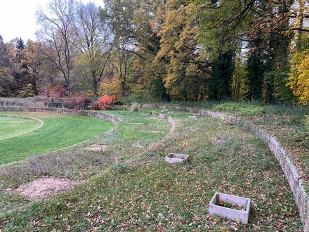 historische, kurvenförmig terrasierte Liegewiesen-Anlage, fünf Ebenen sind sichtbar, auf der obersten Ebene Bäume, auf den unteren Wiese, auf der zweitbobersten Fläche mit Holzumrandungen geschützte Versuchsflächen.