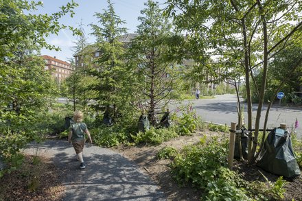 In einem neu angelegten Park blickt man auf den Rücken eines 3–4 Jahre alten Kindes, das unterhalb einer Straße auf einem Schotterweg zwischen den neu gepflanzten Sträuchern spaziert. hinter den Sträuchern ist eine Straße zu sehen, Backsteinhäuser und ein Radfahrer 